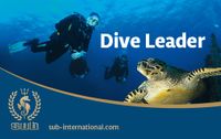 Dive Leader